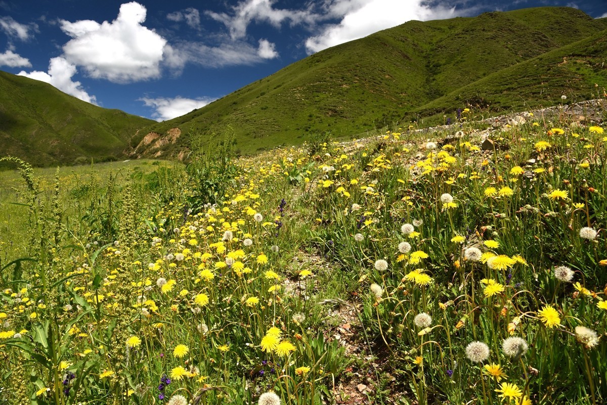 青海路途随拍【班玛县】【3】