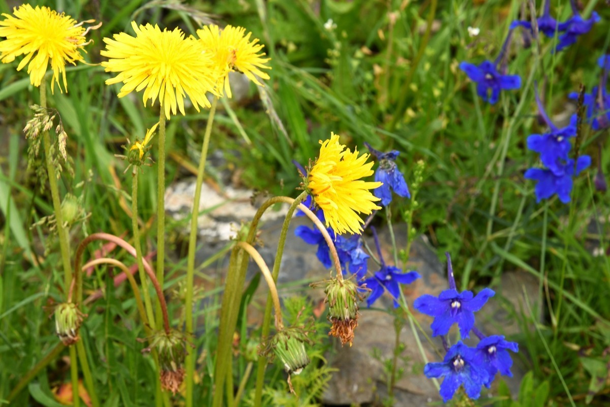 青海路途随拍【班玛县】【4】