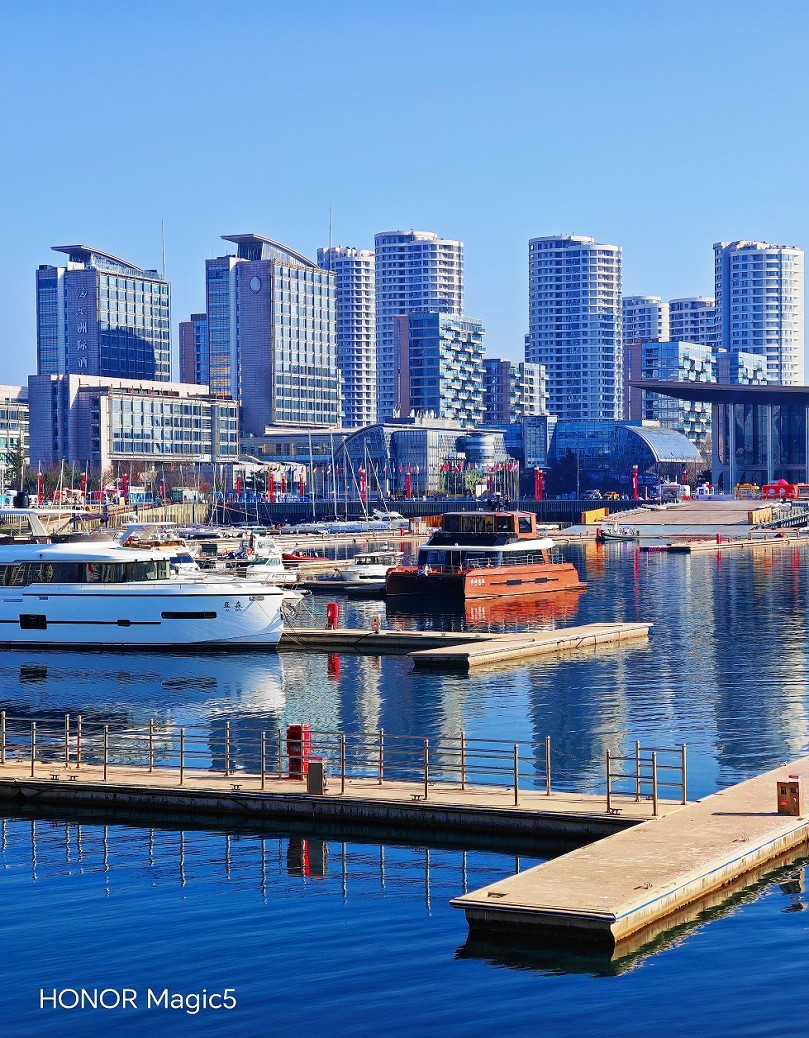 新年第二贴扫街抓怕片《风景，树叶，海鸥还有妹子和非洲哥们》新手机的动力挺热闹！