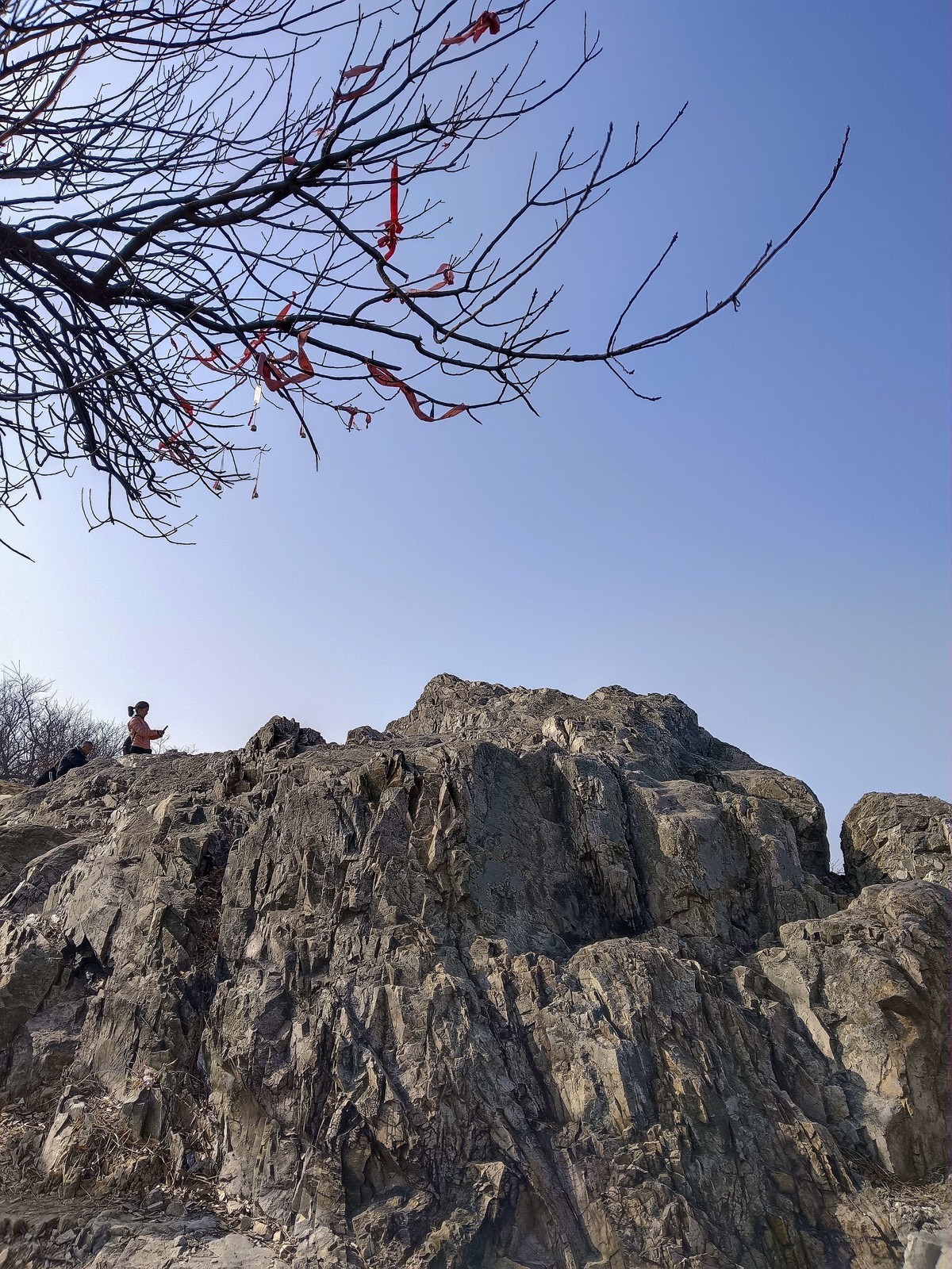 新年第一天登山望远（手机拍）