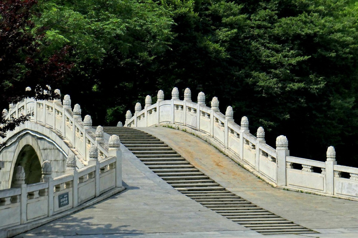月湖公园与荷花
