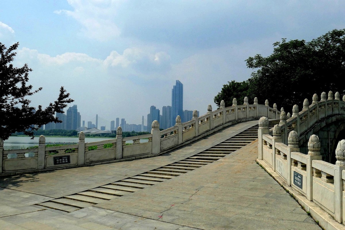 月湖公园与荷花