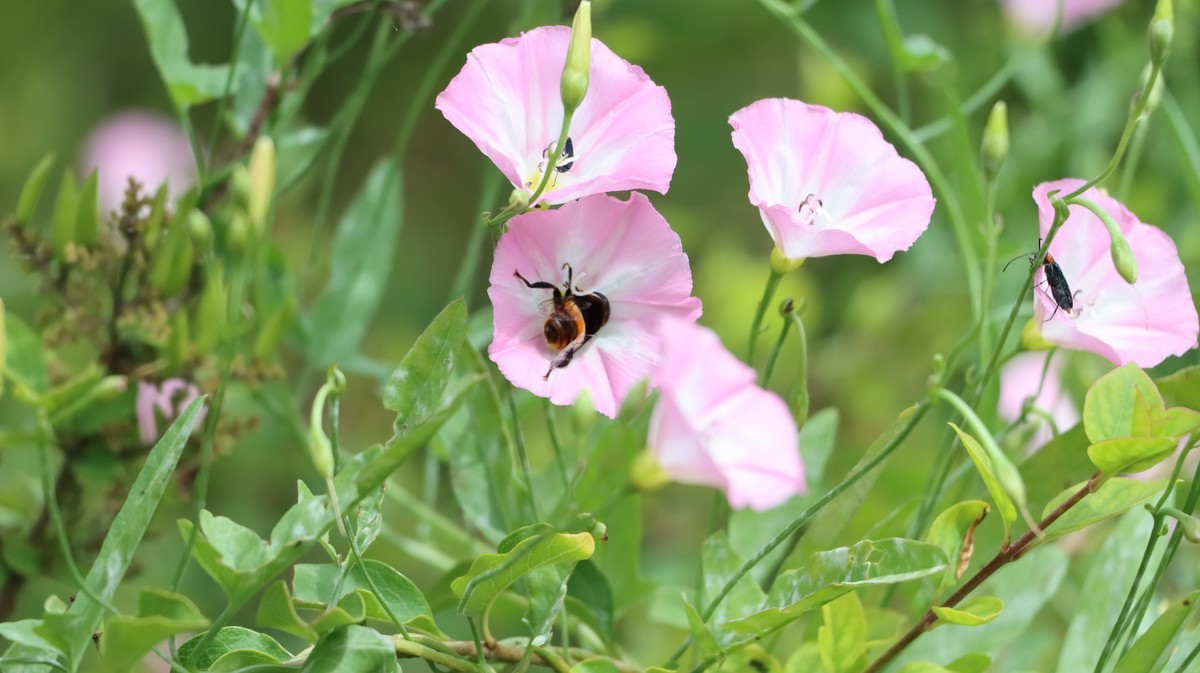 刚刚入手90D，试拍几张