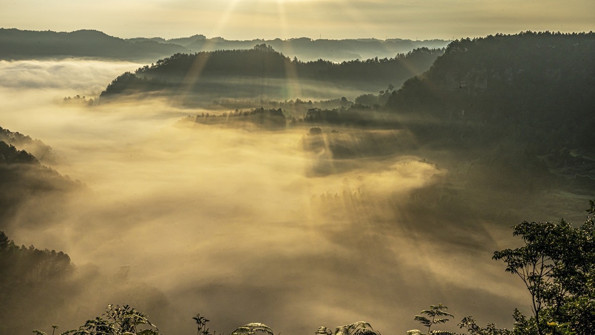 四川威远骑龙坳---晨雾