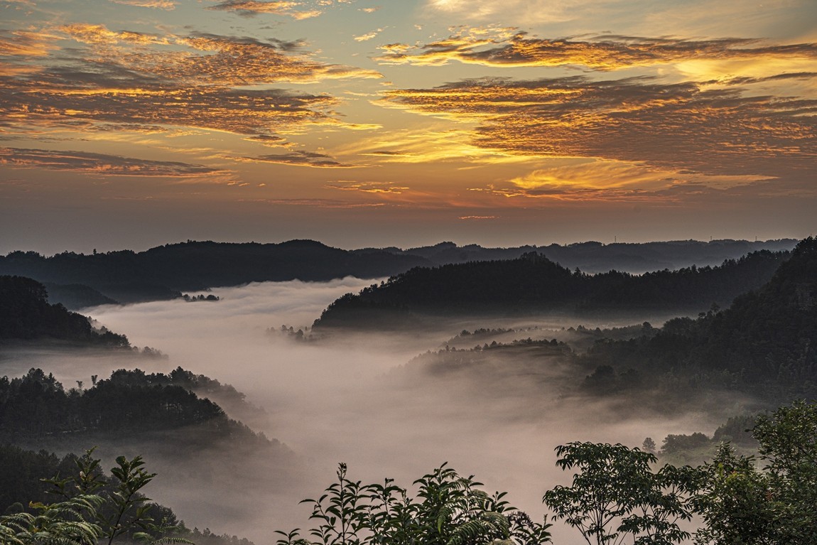 四川威远骑龙坳---晨雾