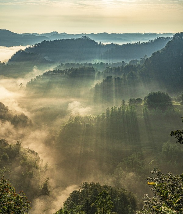 四川威远骑龙坳---晨雾