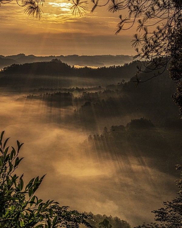四川威远骑龙坳---晨雾