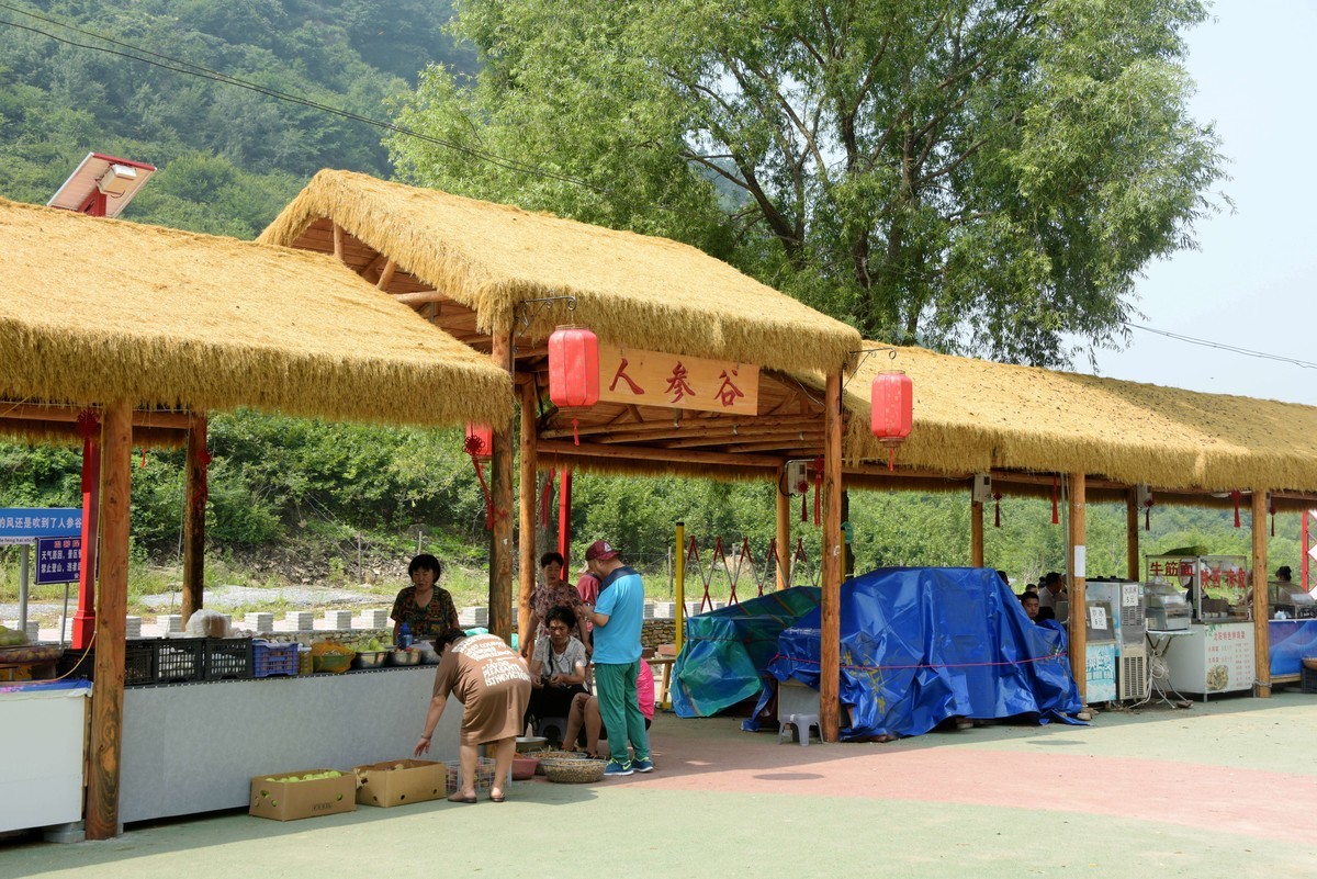 辽阳弓长岭人参谷掠影（续）