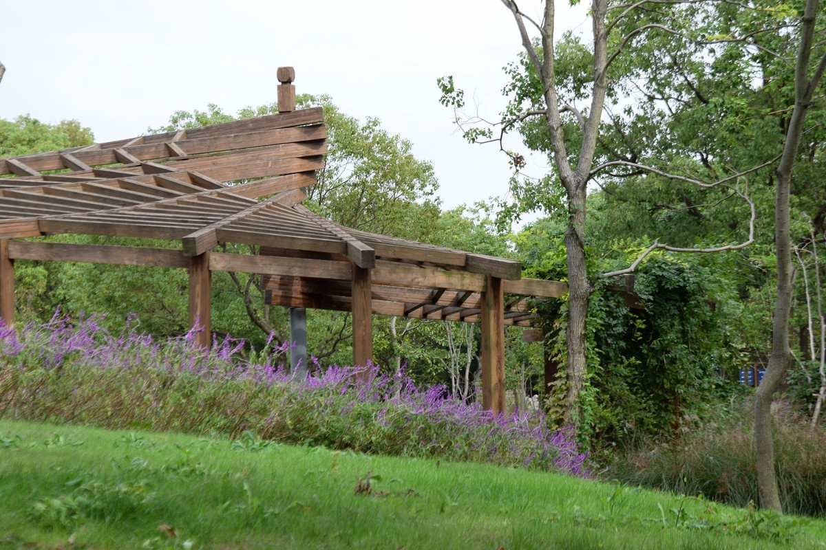 游吴淞炮台湾湿地公园续六