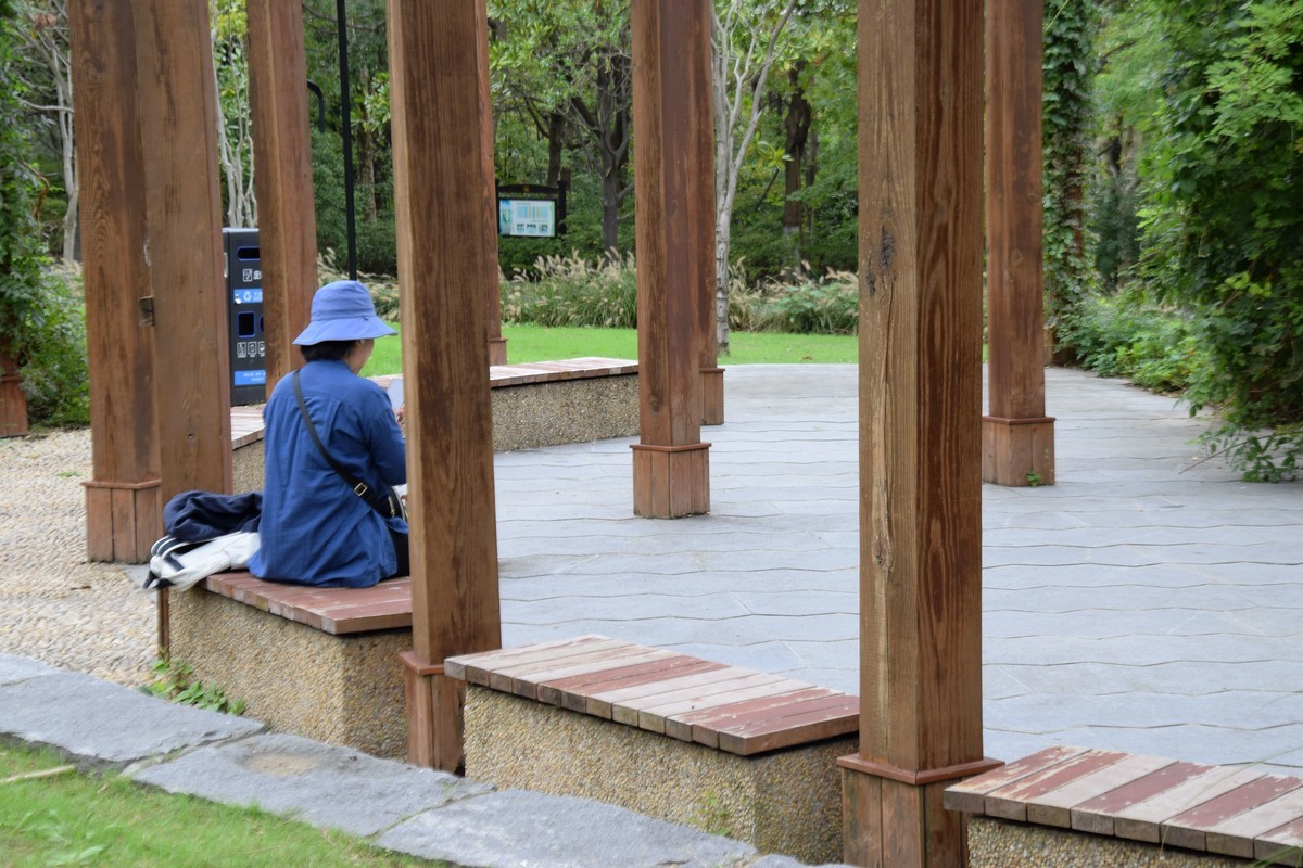 游吴淞炮台湾湿地公园续六