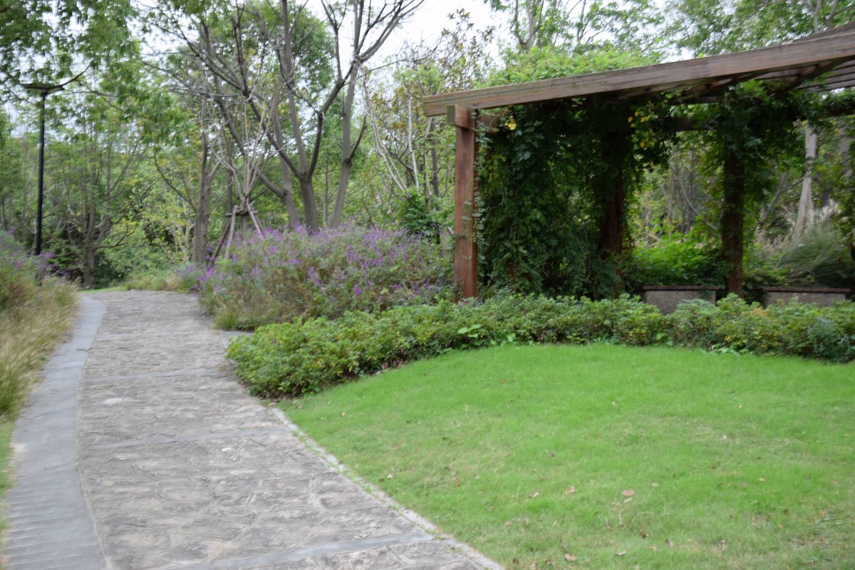 游吴淞炮台湾湿地公园续六