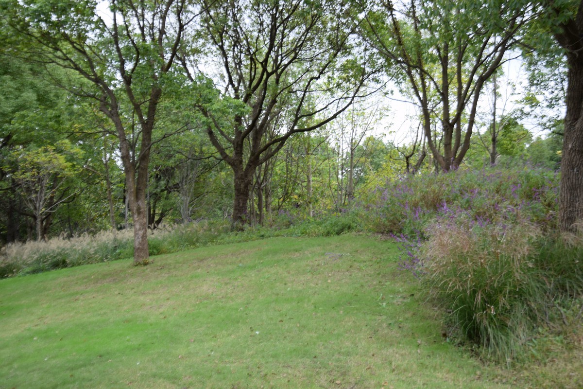 游吴淞炮台湾湿地公园续六