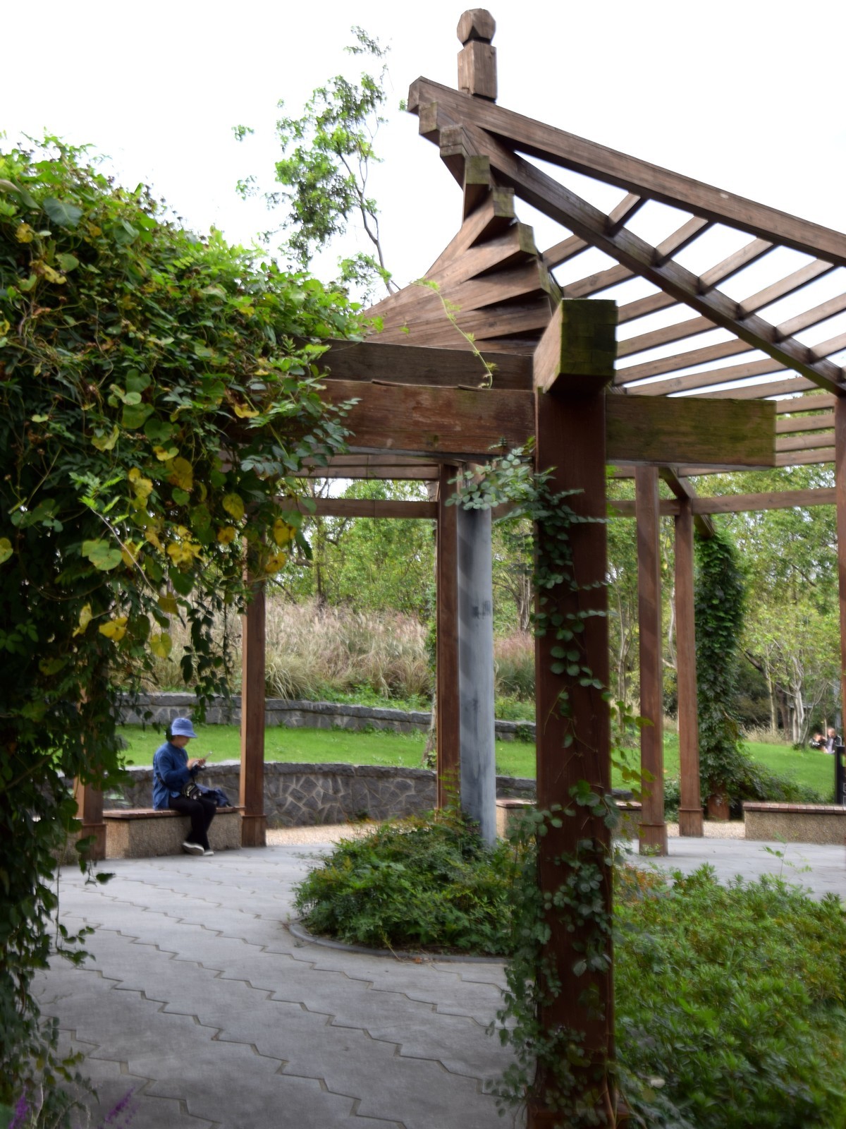 游吴淞炮台湾湿地公园续六