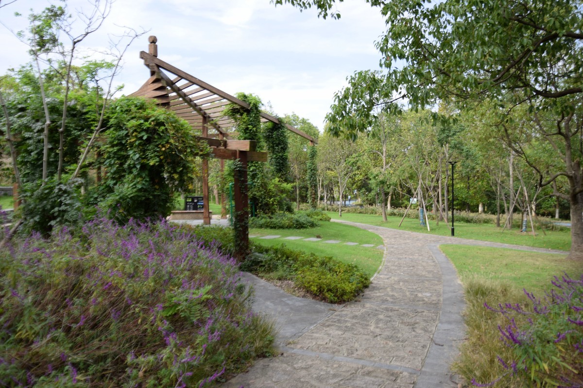 游吴淞炮台湾湿地公园续六