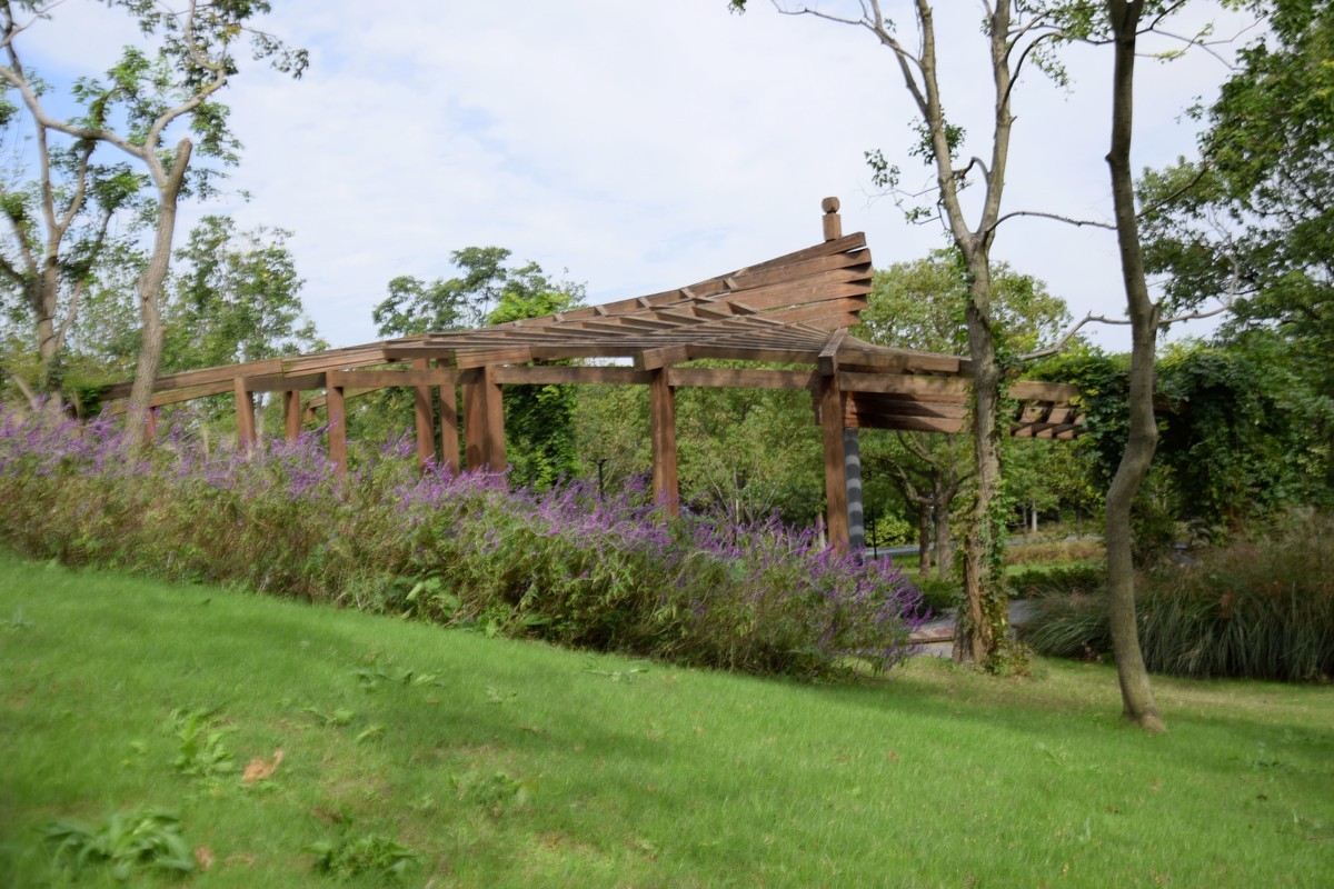 游吴淞炮台湾湿地公园续六