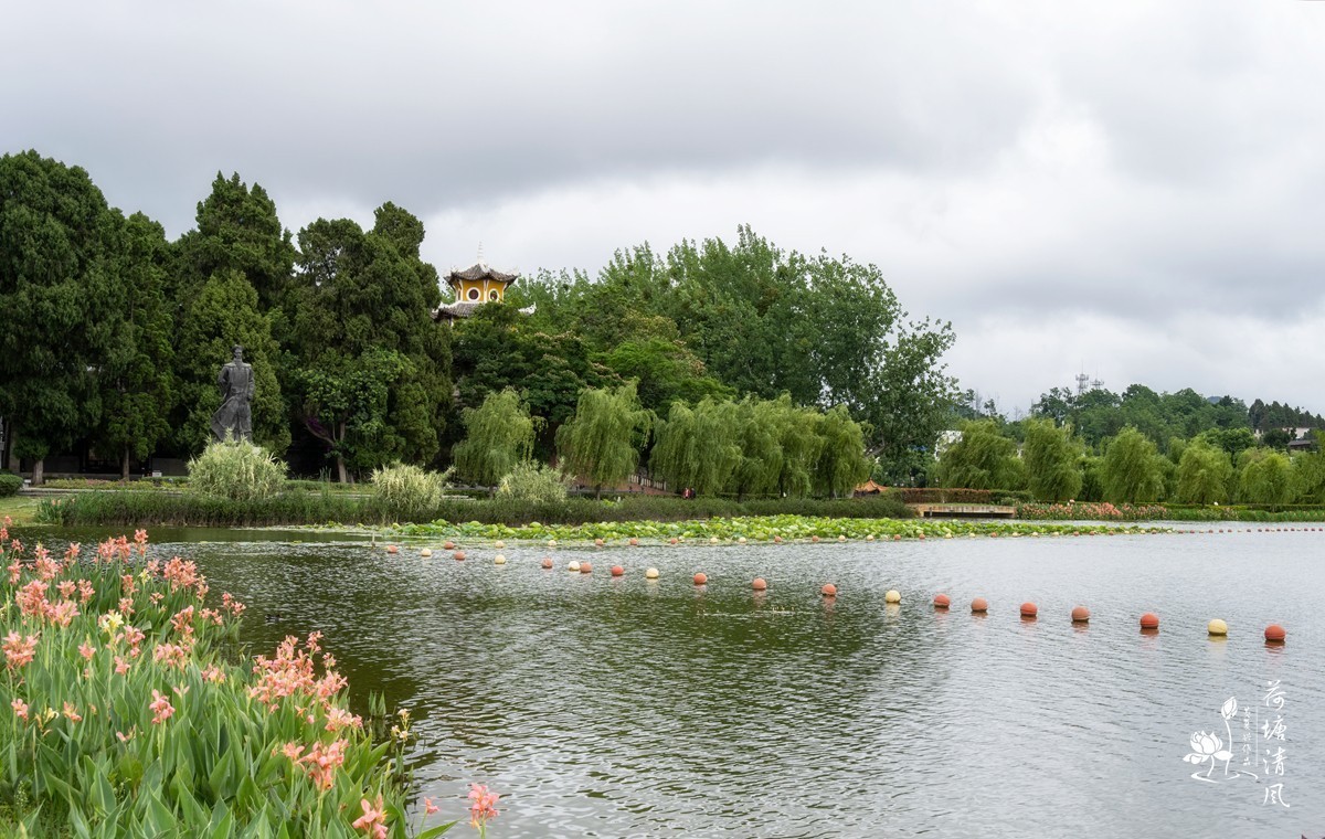 在细雨绵绵的2025年仲夏时节，漫步安龙县半水湖畔，