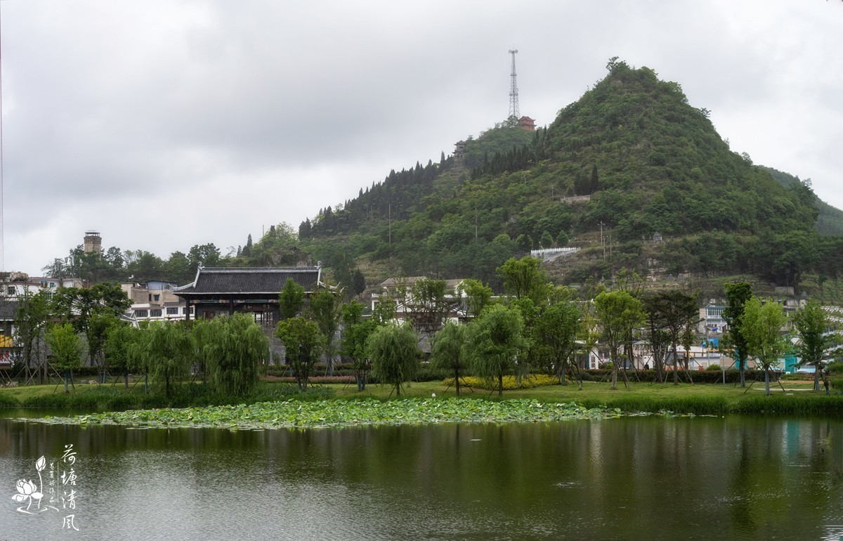 在细雨绵绵的2025年仲夏时节，漫步安龙县半水湖畔，
