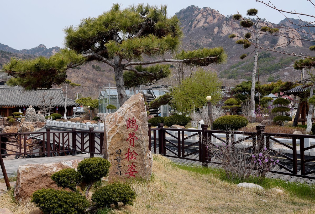 春游韩园（三）