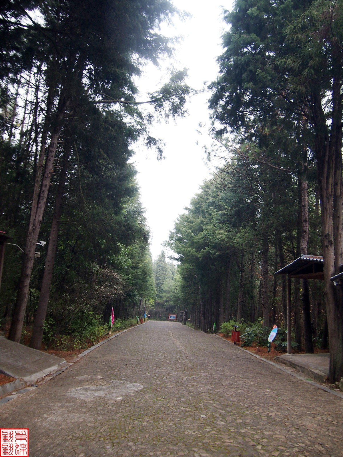 珠江源随拍（1）