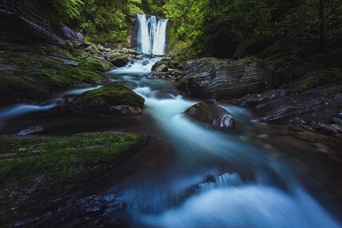 高山草甸的早晚景色