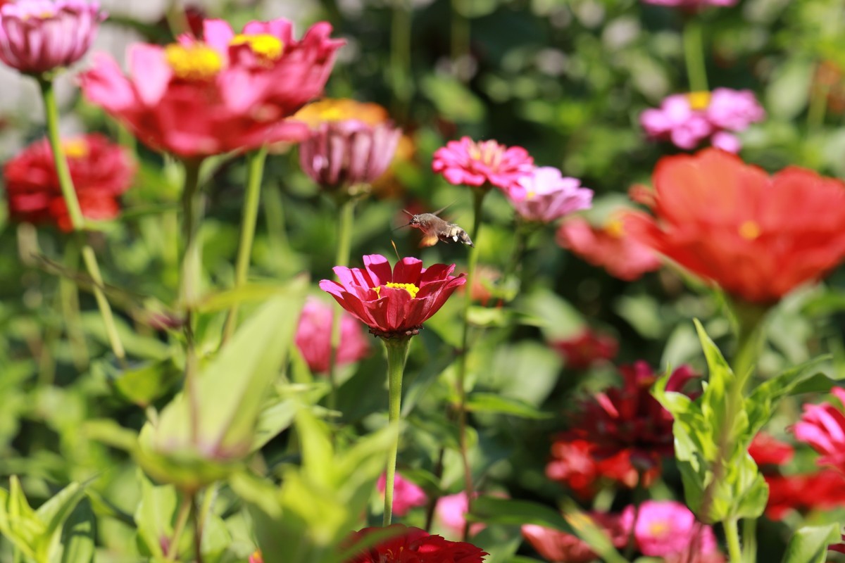 这个追焦的感觉不错