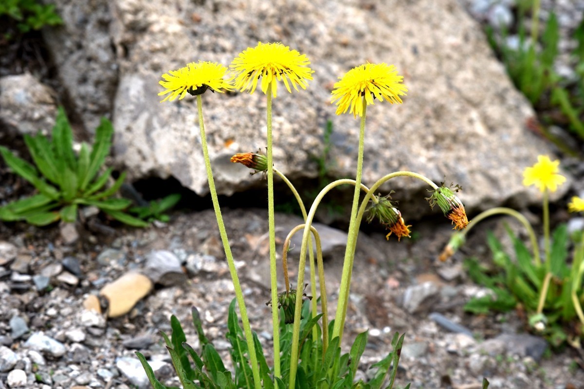 青海路途随拍【班玛县】【3】