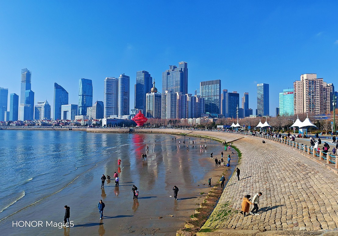 新年第二贴扫街抓怕片《风景，树叶，海鸥还有妹子和非洲哥们》新手机的动力挺热闹！