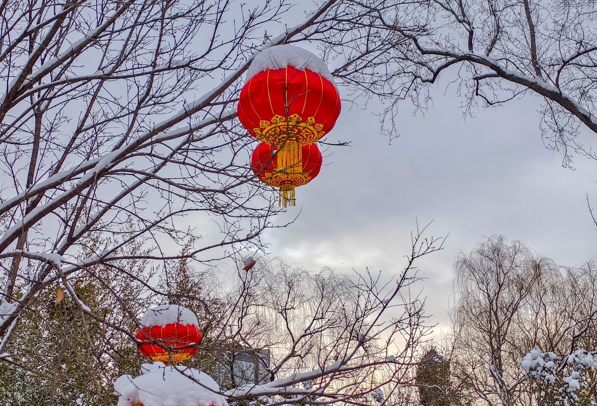 瑞雪兆丰年（3）