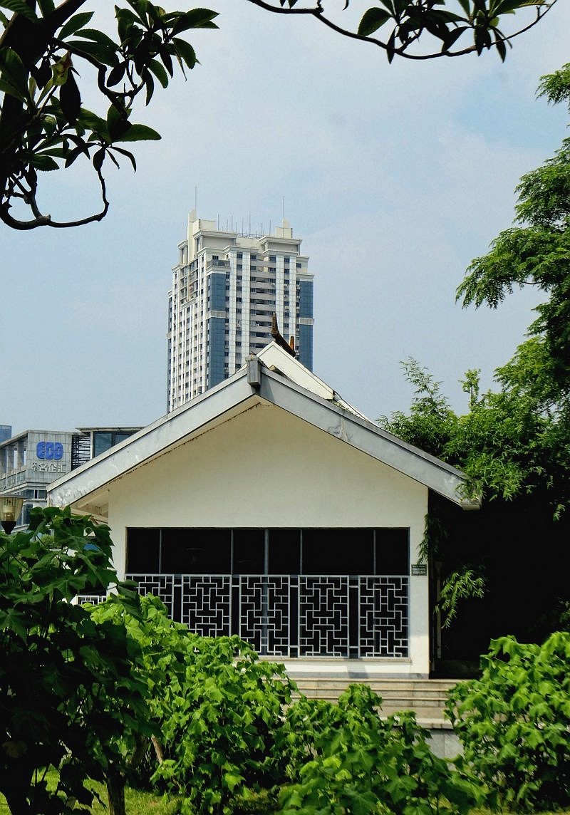 月湖公园与荷花