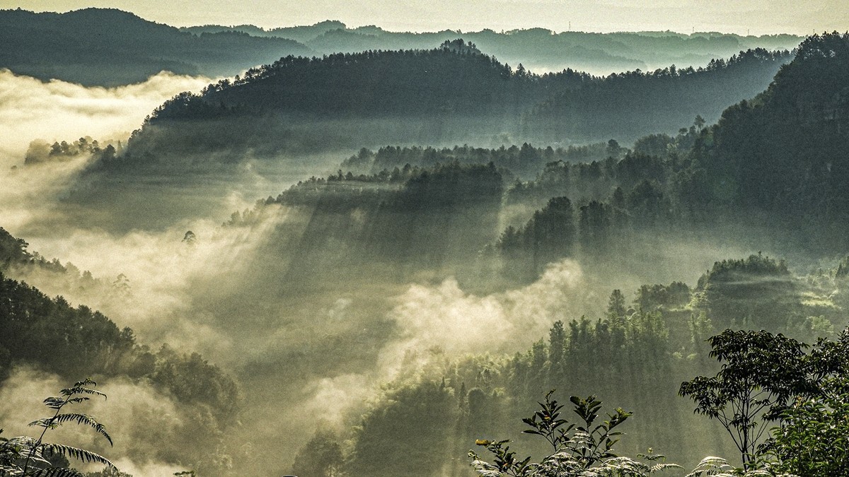 四川威远骑龙坳---晨雾