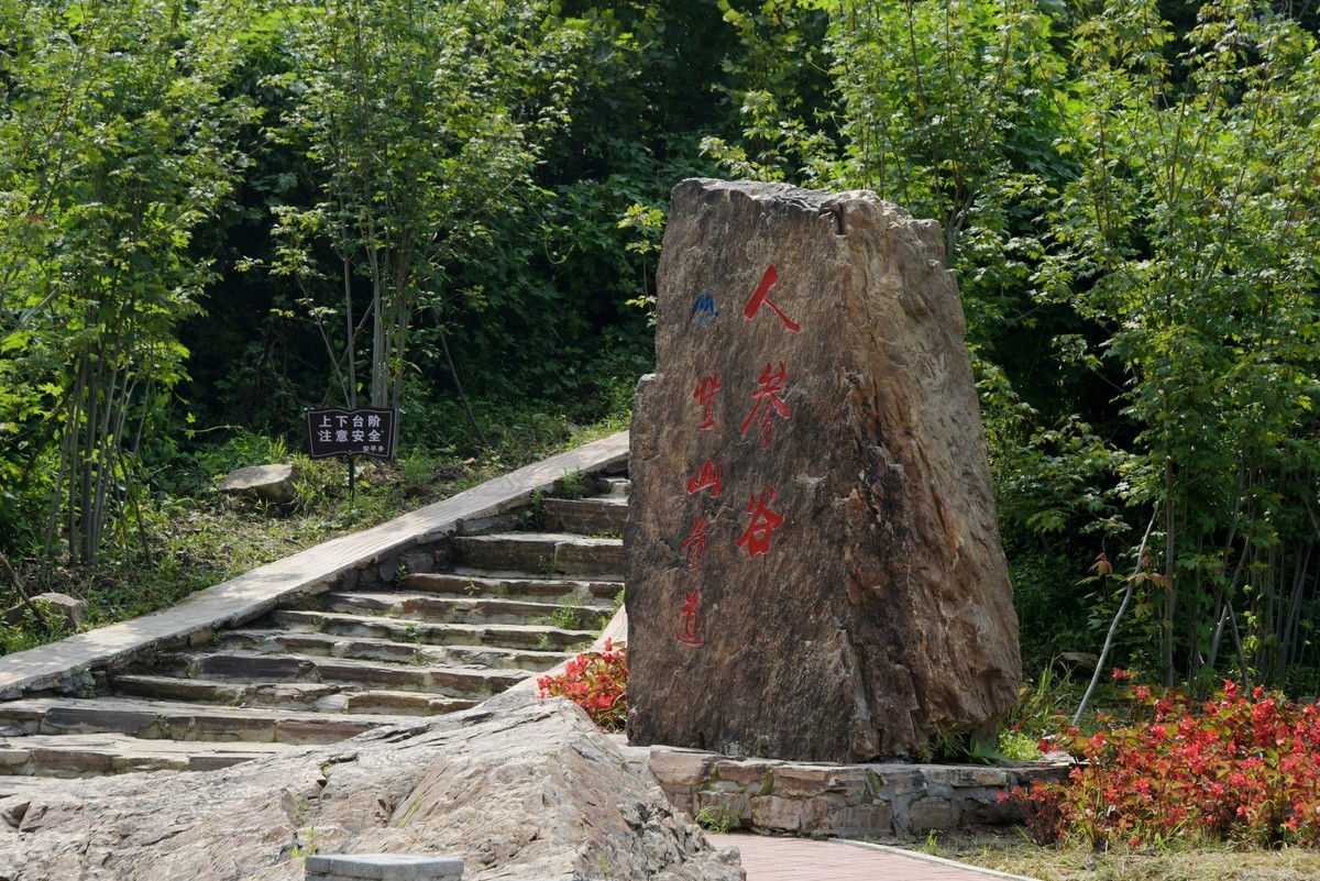 辽阳弓长岭人参谷掠影（续）