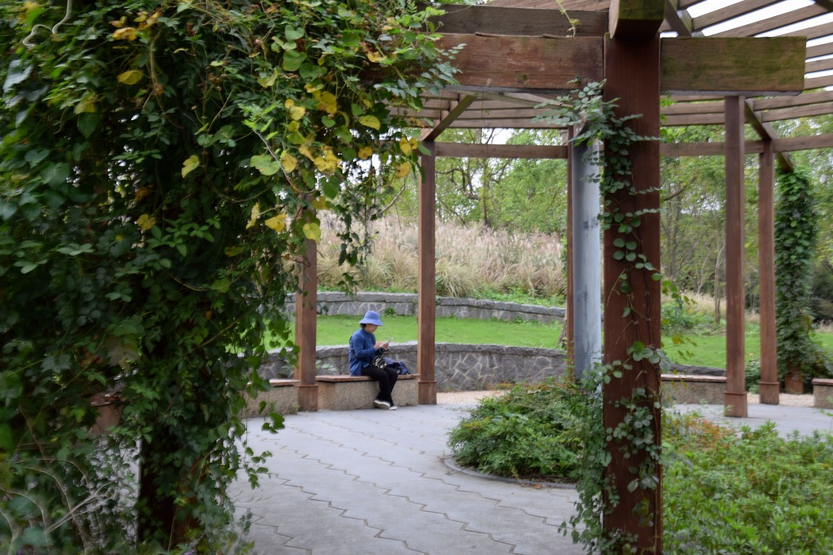 游吴淞炮台湾湿地公园续六