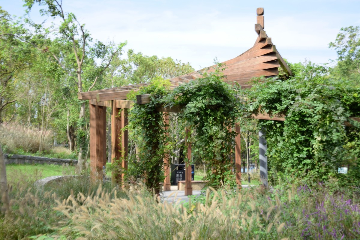 游吴淞炮台湾湿地公园续六