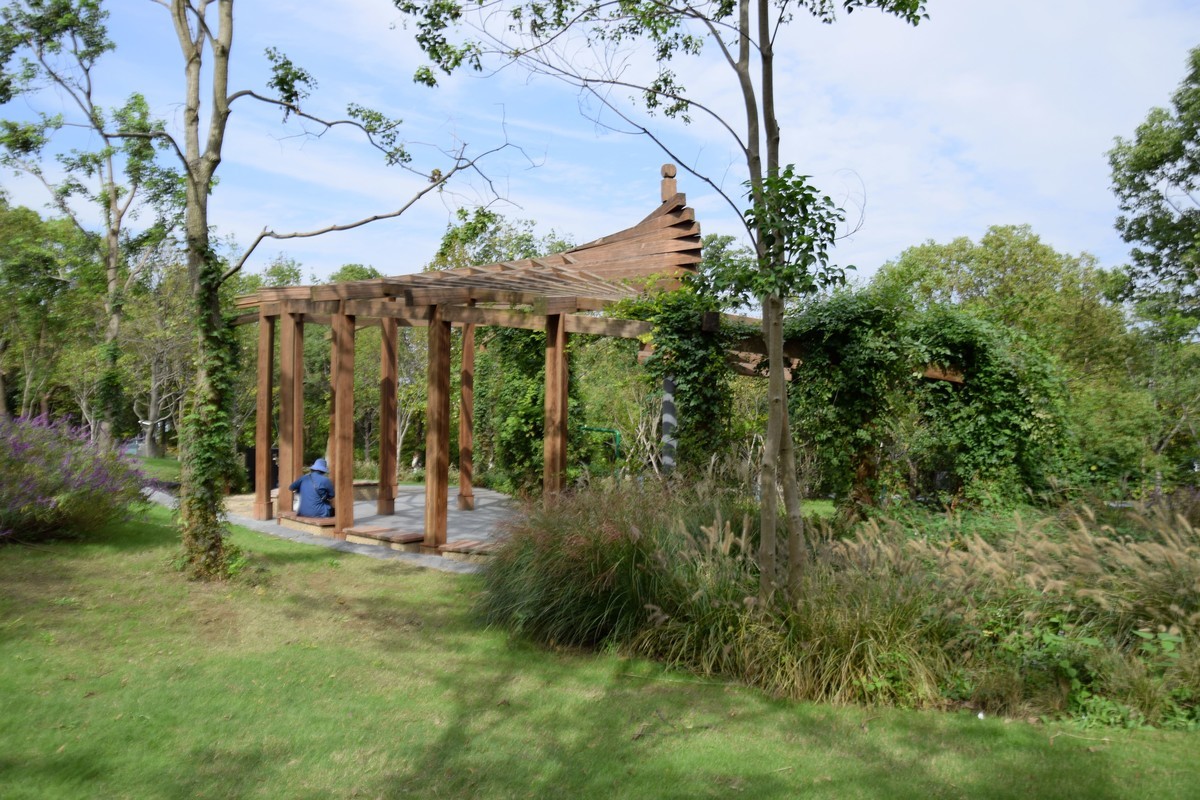 游吴淞炮台湾湿地公园续六