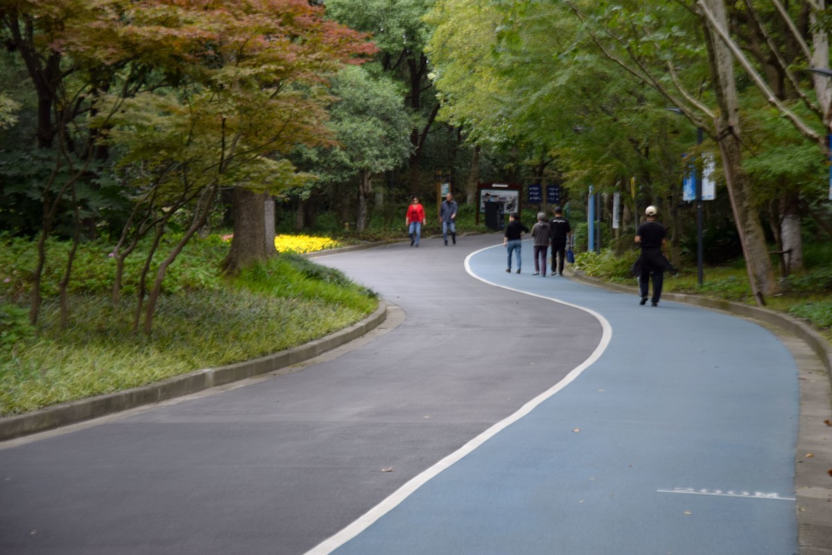 游吴淞炮台湾湿地公园续六