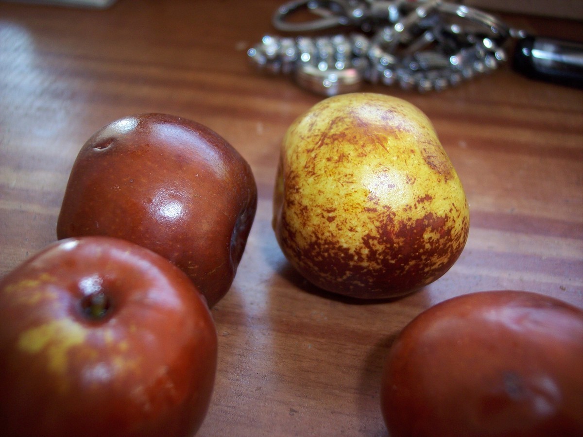 老机出掉了，留个纪念