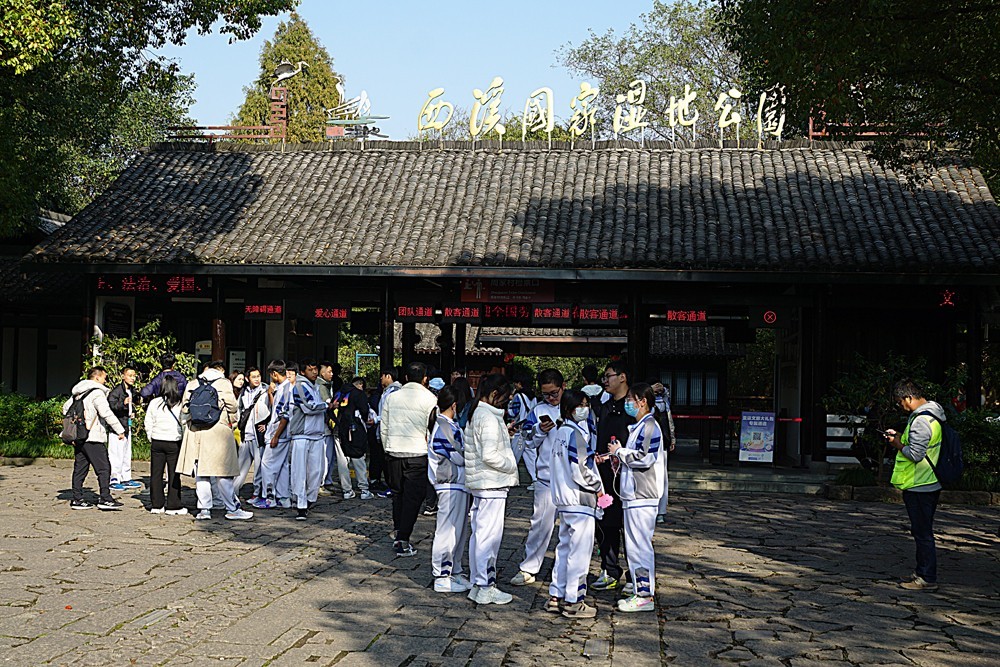 秋染西溪湿地（十~完）