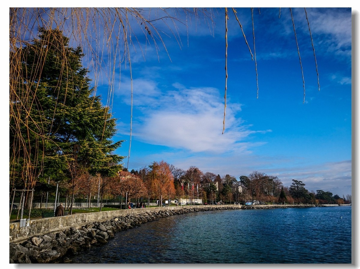 携“洛桑”花絮（瑞士）--祝杭州星空(中国)师友新年快乐！！