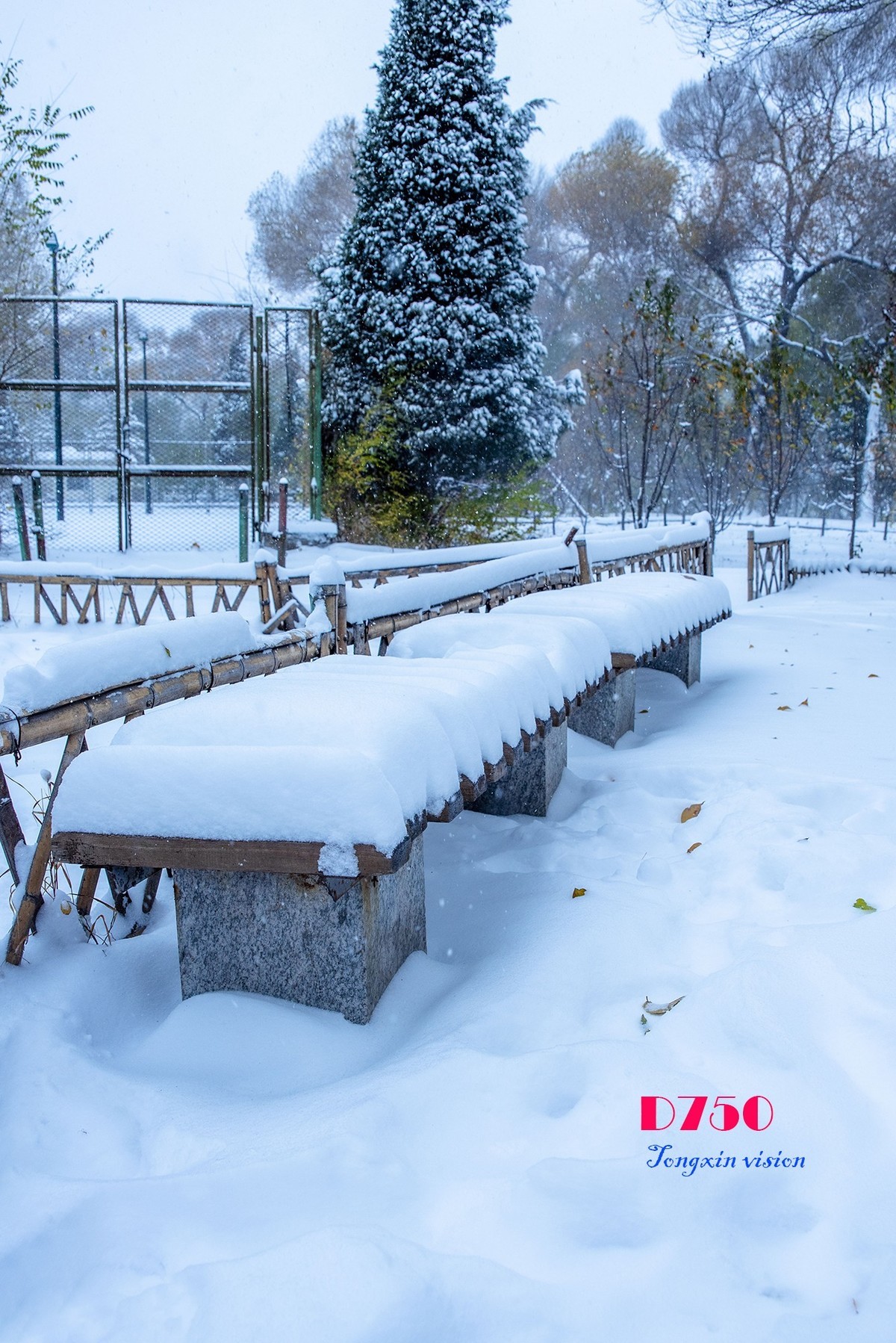 入冬塞北第一场雪（8）