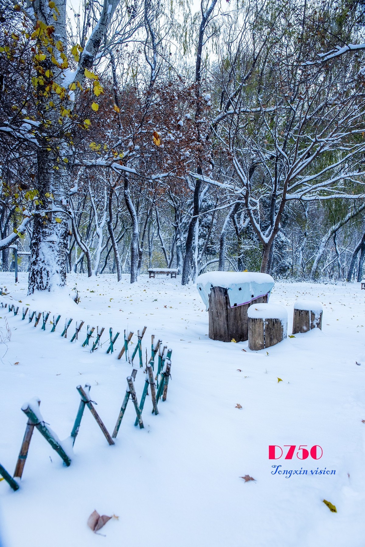 入冬塞北第一场雪（8）