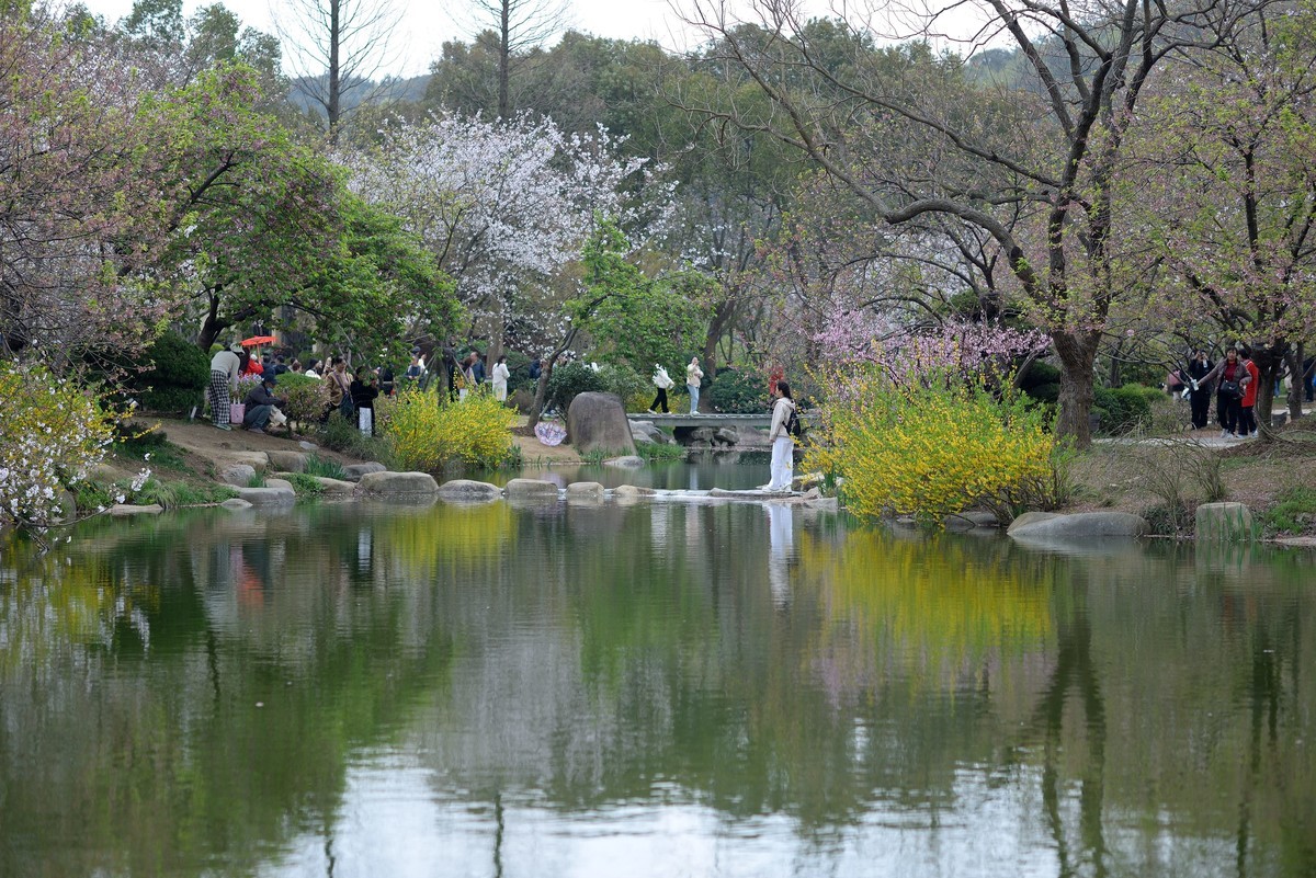 太湖春游