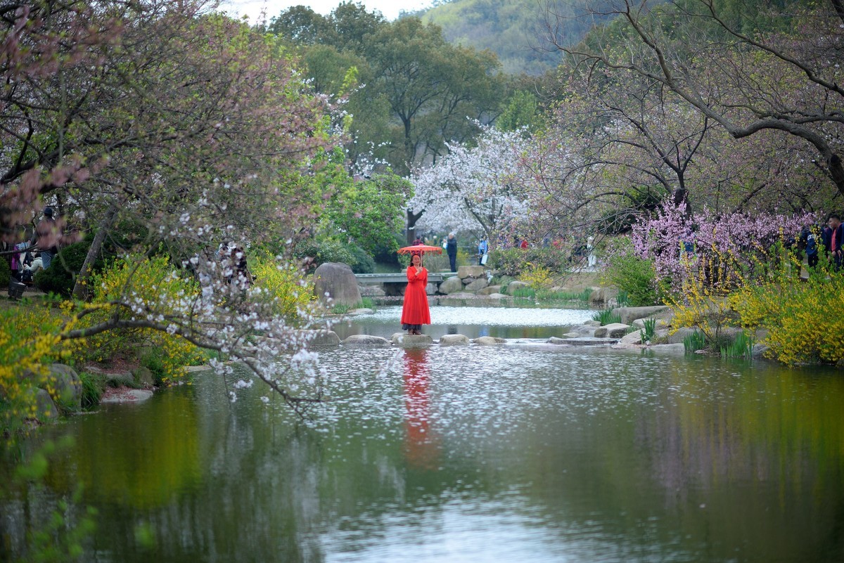 太湖春游