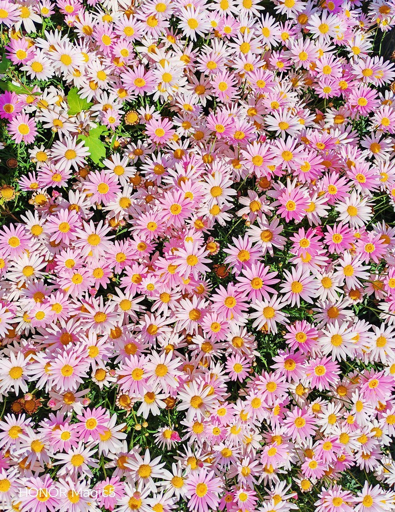 报到帖加纪录片《鸭绿江对岸的朝鲜景色》一般不容易见到，看一看图个新鲜！