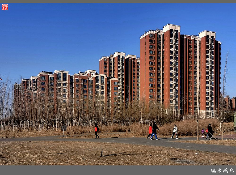 【手机随拍】保利社区——大约在冬季