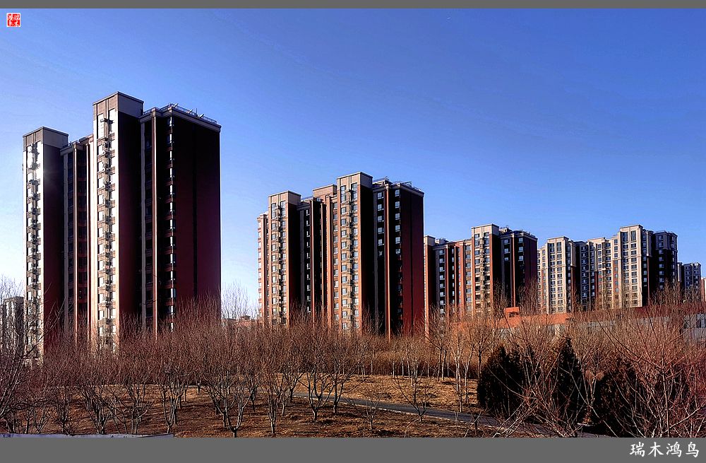 【手机随拍】保利社区——大约在冬季