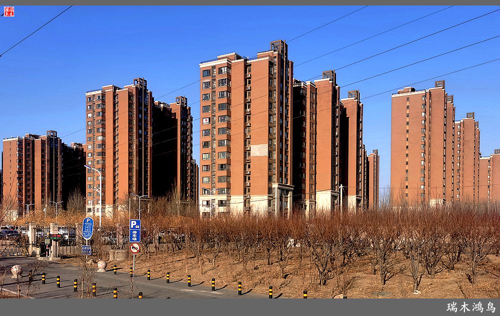 【手机随拍】保利社区——大约在冬季