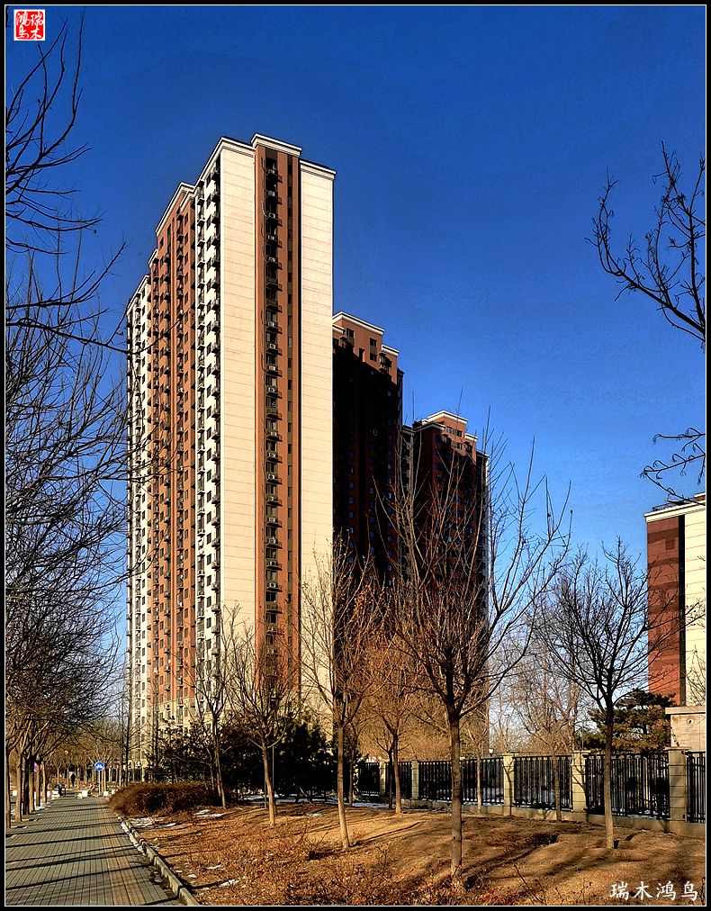 【手机随拍】保利社区——大约在冬季