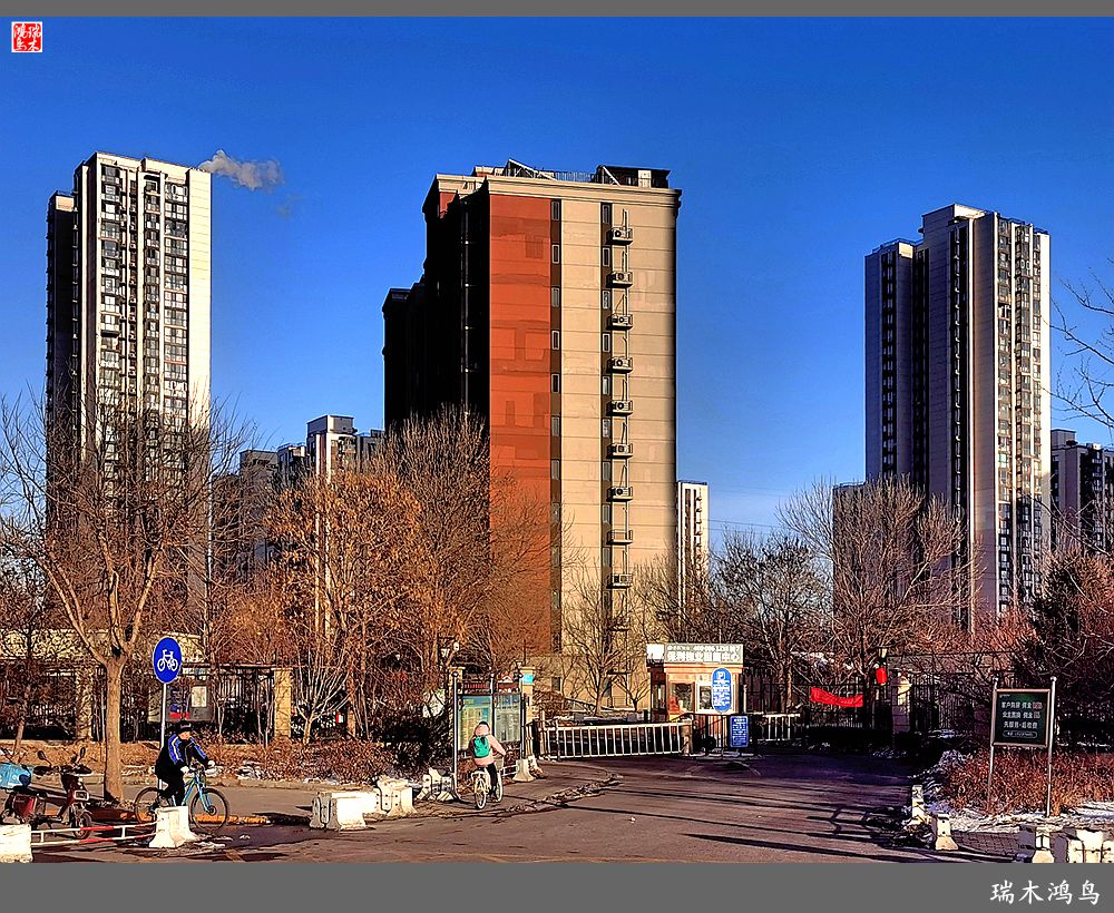 【手机随拍】保利社区——大约在冬季