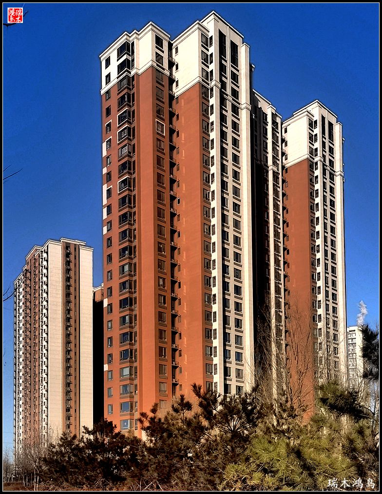 【手机随拍】保利社区——大约在冬季