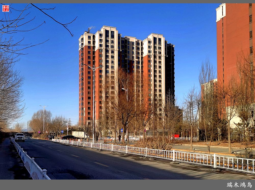 【手机随拍】保利社区——大约在冬季